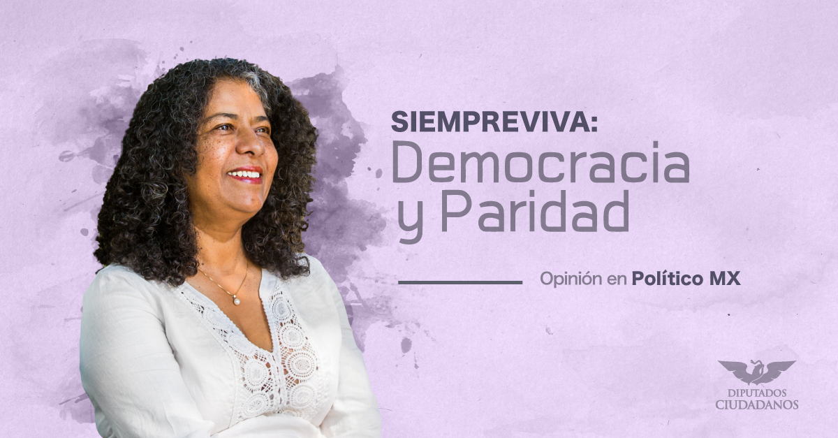 Siempreviva: Democracia y paridad