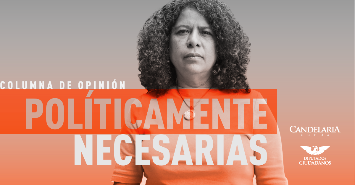 Siempreviva: Políticamente necesarias