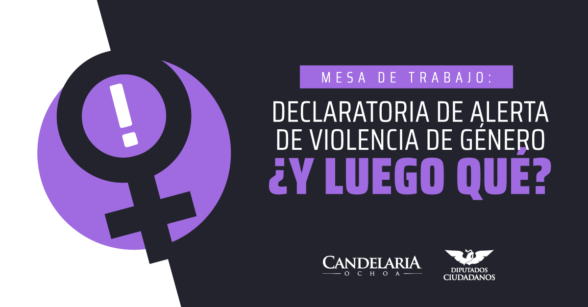 Mesa de trabajo “Declaratoria de Alerta de Género ¿y luego qué?”