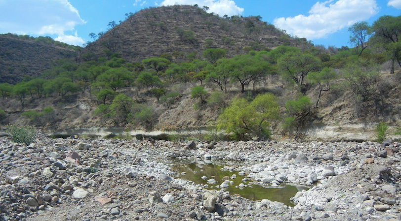 Después de presentada denuncia, PROFEPA cancela extracciones del Río Verde