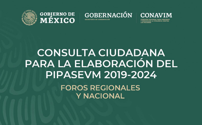 Consulta Nacional para la elaboración del PIPASEVM 2019-2024